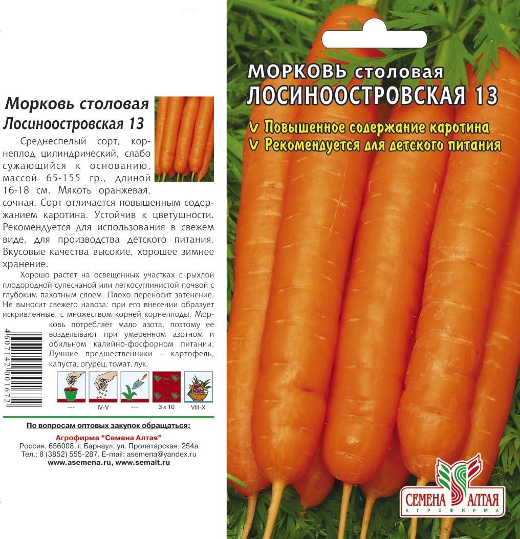 Морковь мармеладница